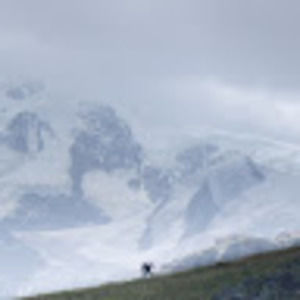 Meet your Posher, Garret